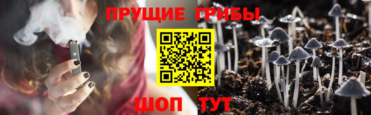 Псилоцибиновые грибы GOLDEN TEACHER  Вход с VPN  Галлюциногенные грибы Magic Shrooms  Феодосия 